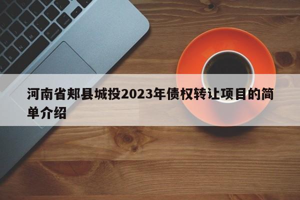 河南省郏县城投2023年债权转让项目的简单介绍