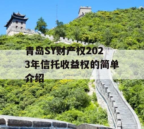 青岛SY财产权2023年信托收益权的简单介绍
